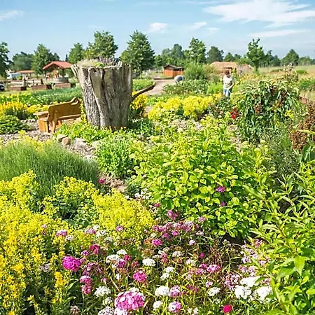 Golchener Hof - & Bauernhofurlaub In Mecklenburg 4* Golchen