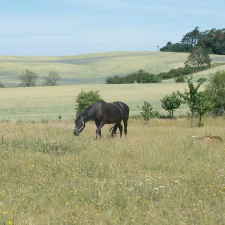 Отель Golchener Hof - & Bauernhofurlaub In Mecklenburg