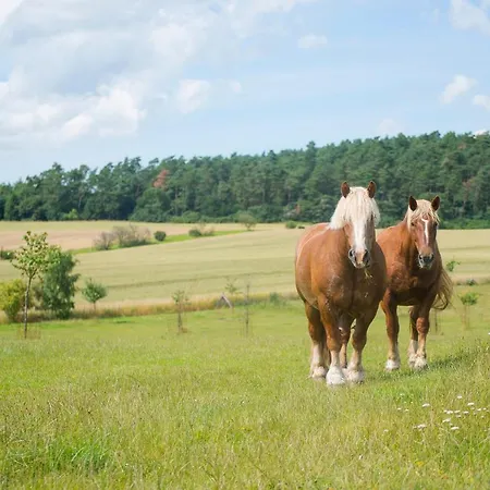 Golchener Hof - & Bauernhofurlaub In Mecklenburg Hotell Golchen