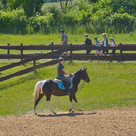 Golchener Hof Hotel Golchen