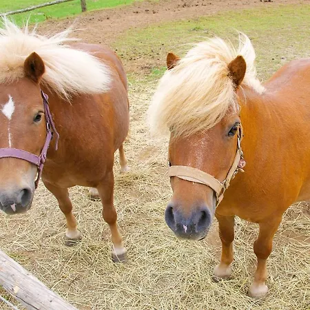 Golchener Hof Golchen