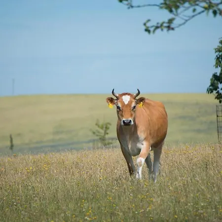 Golchener Hof 4* Golchen