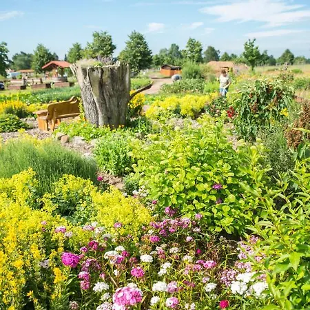 Golchener Hof - & Bauernhofurlaub In Mecklenburg
