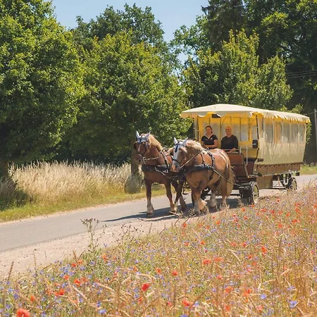 Golchener Hof - & Bauernhofurlaub In Mecklenburg Hotell