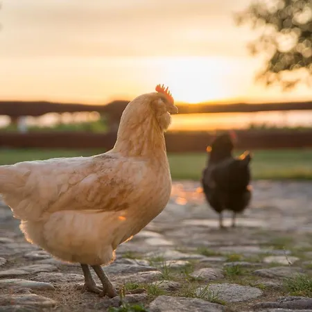 Golchener Hof 4* Golchen