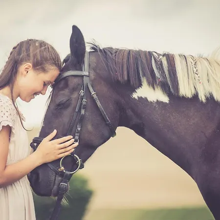 Hotel Golchener Hof Golchen